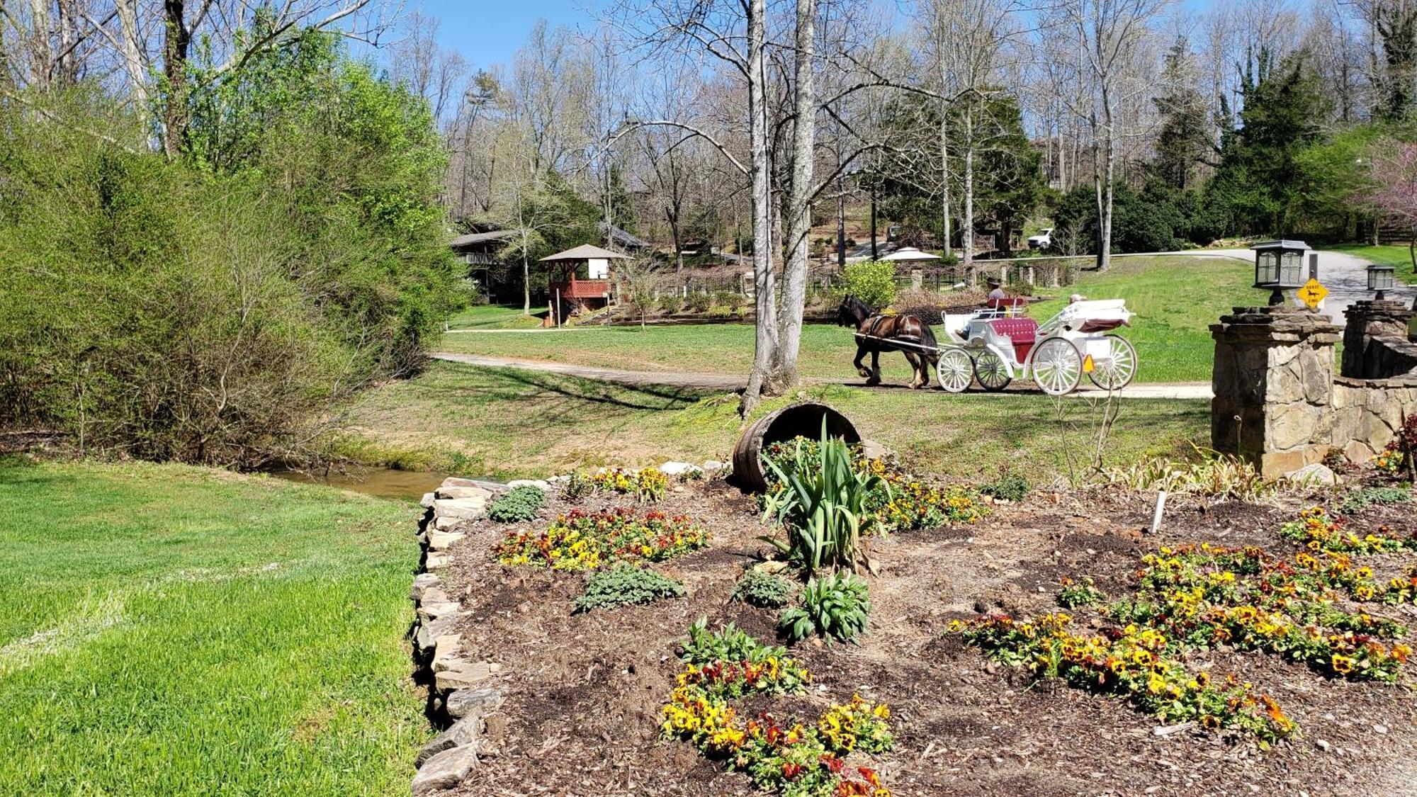 Forrest Hills Mountain Resort Dahlonega Exterior foto