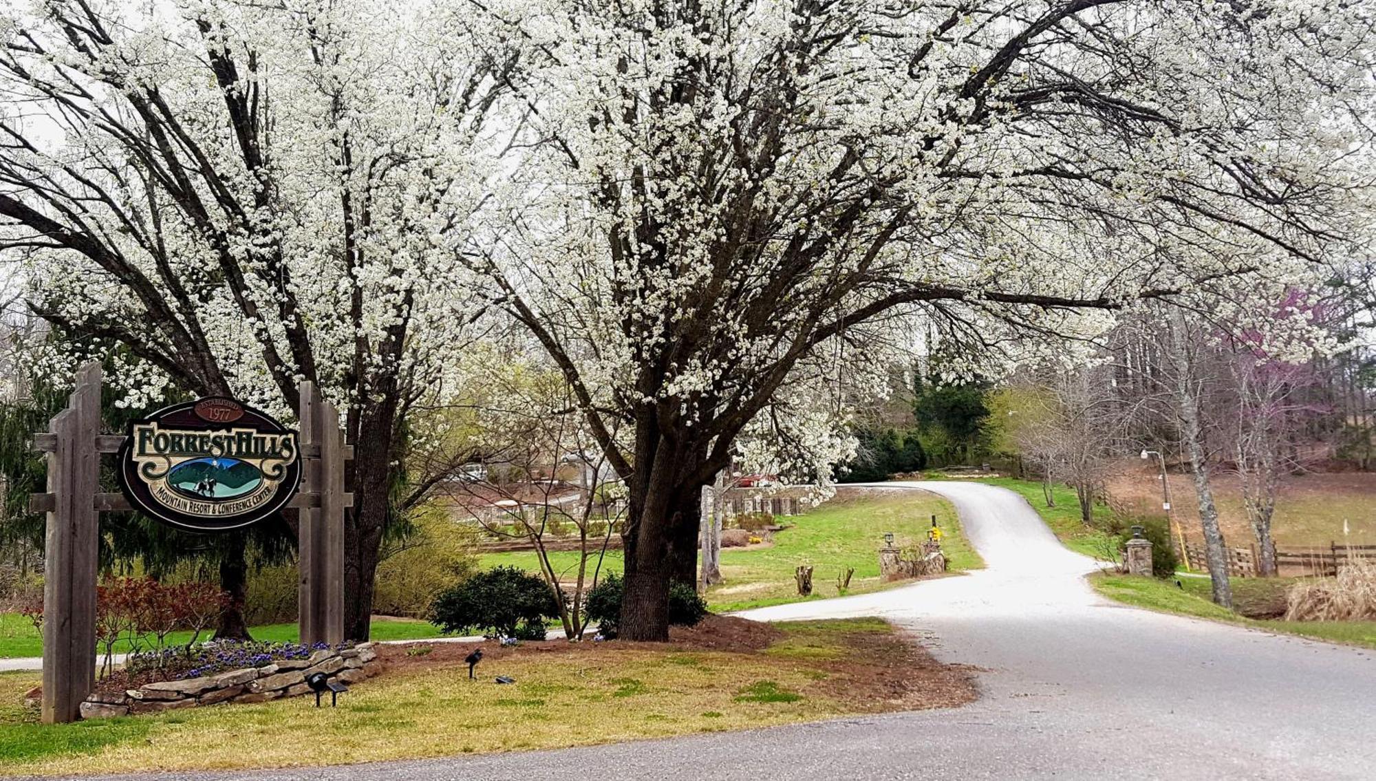 Forrest Hills Mountain Resort Dahlonega Exterior foto